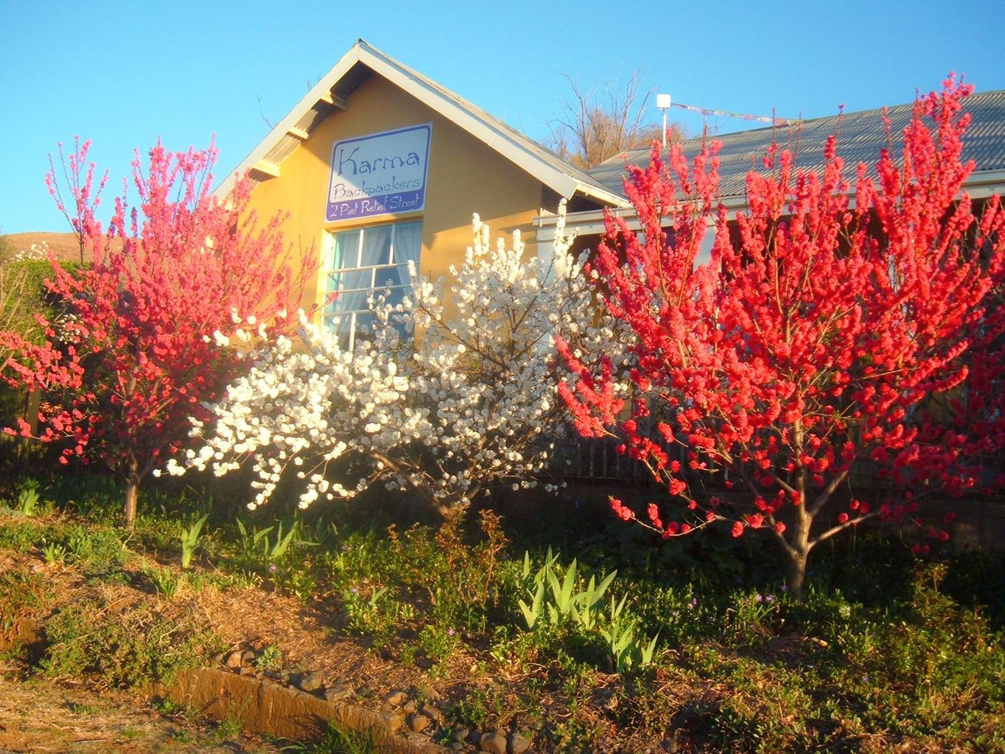 Karma Backpackers Hostel Kestell ภายนอก รูปภาพ